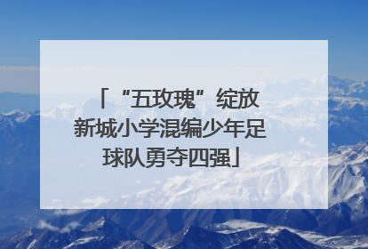 “五玫瑰”绽放 新城小学混编少年足球队勇夺四强